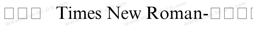 衬线体   Times New Roman字体转换